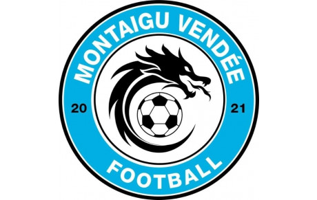 Montaigu Vendée Football