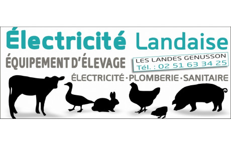 ELECTRICITE LANDAISE